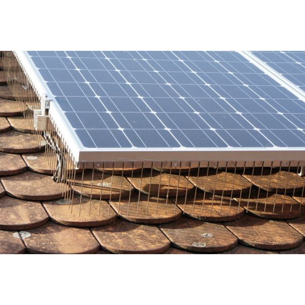 Bird proofing solar panels Melbourne