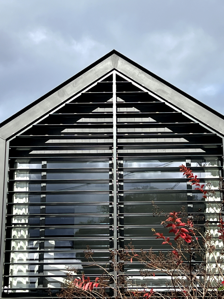 bird deterrent gel applied to a melbourne property