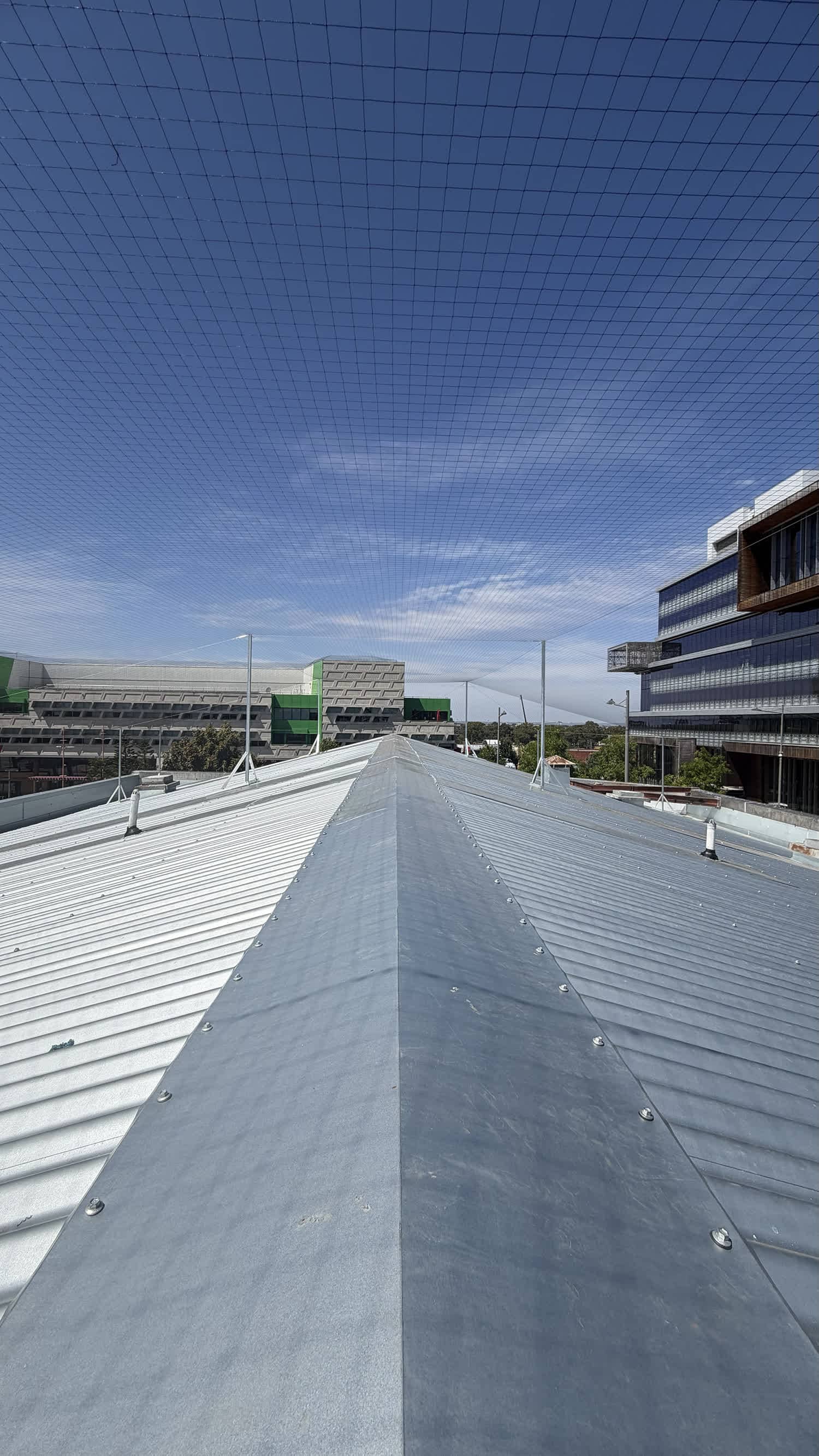 bird netting installation for commercial buildings melbourne