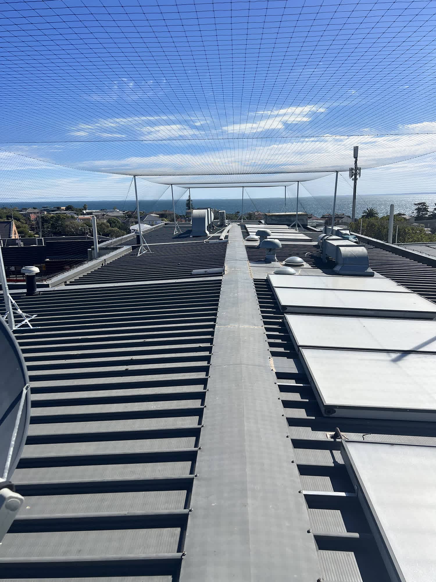 building bird proofing netting installation