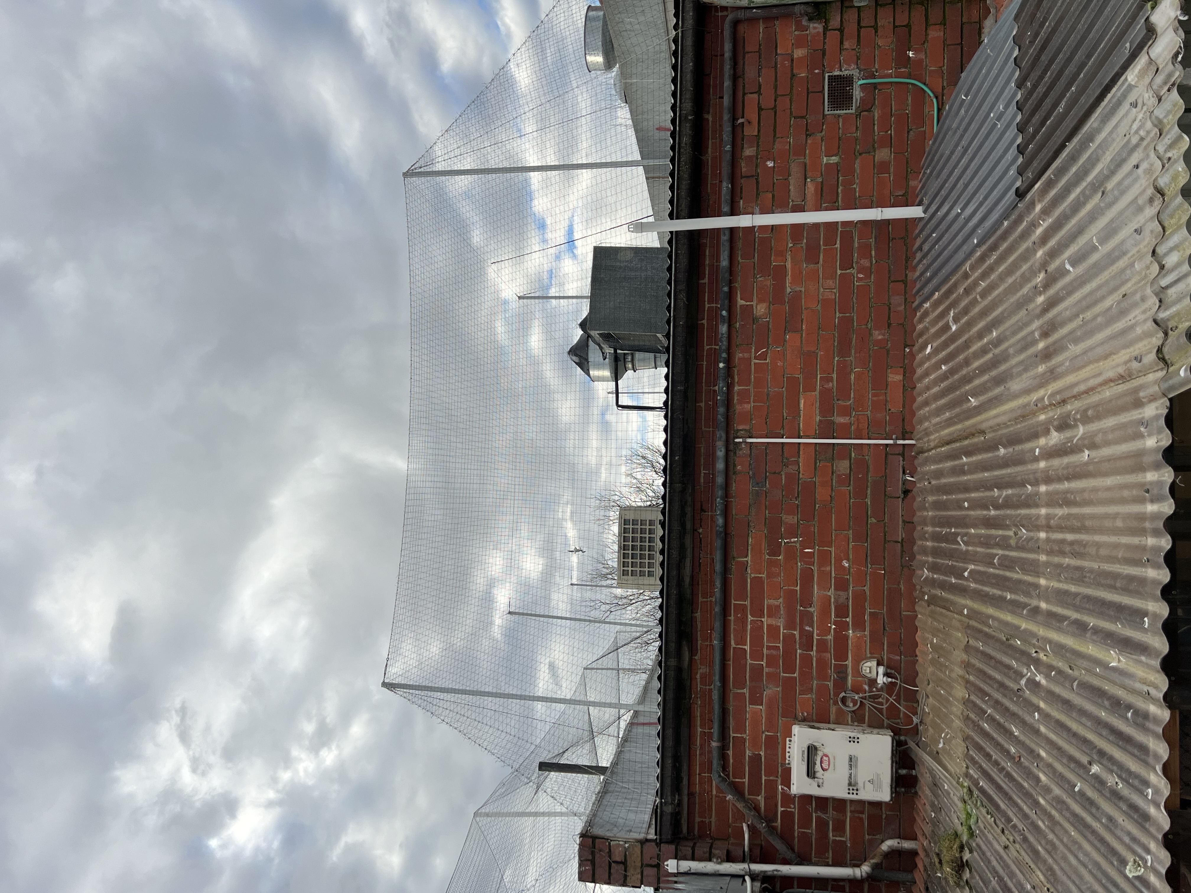 industrial netting to stop pigeons from roosting