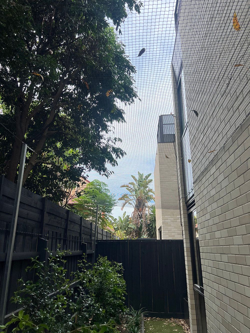 Melbourne commercial netting