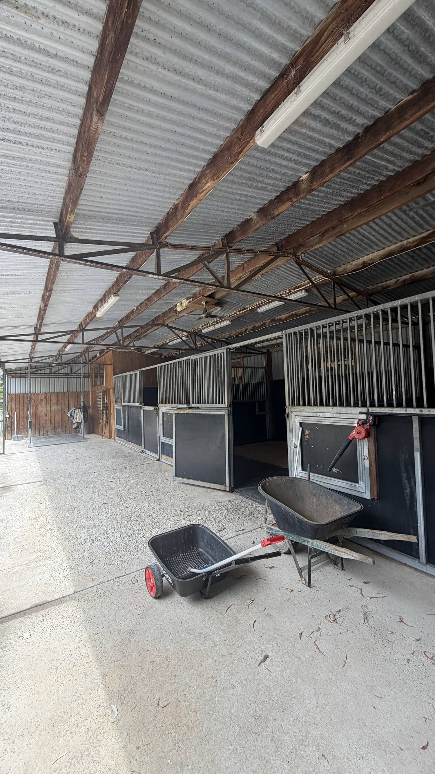 bird netting for all types of horse stables melbourne