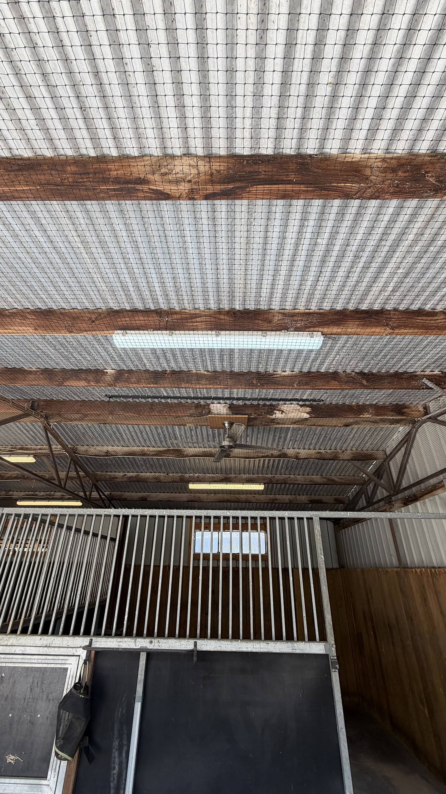 professional horse stable netting installation