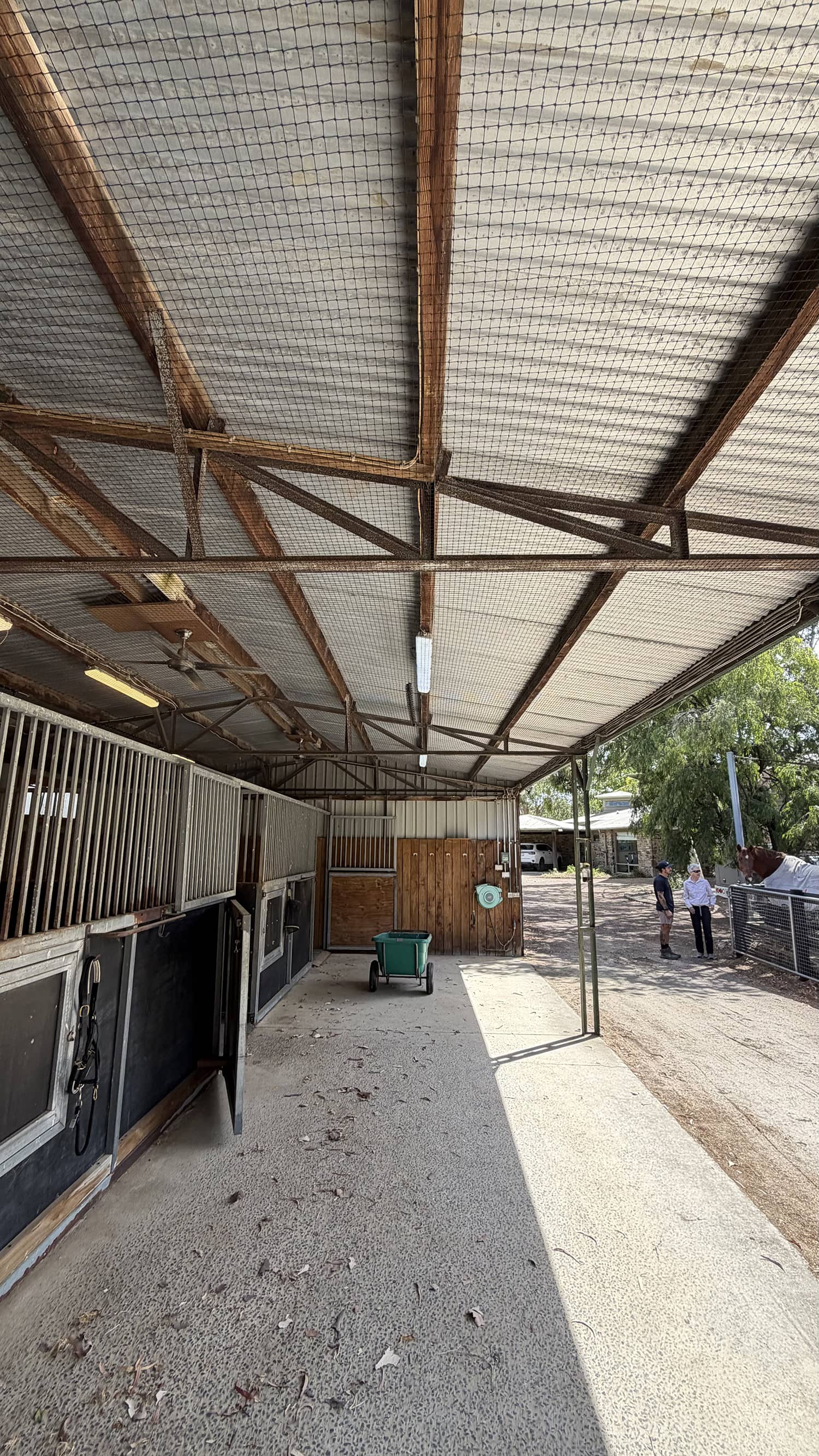 horse stable bird exclusion netting