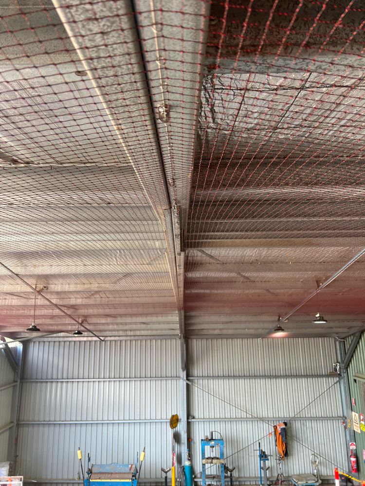 bird netting placed on across steel strutts to stop birds from nesting