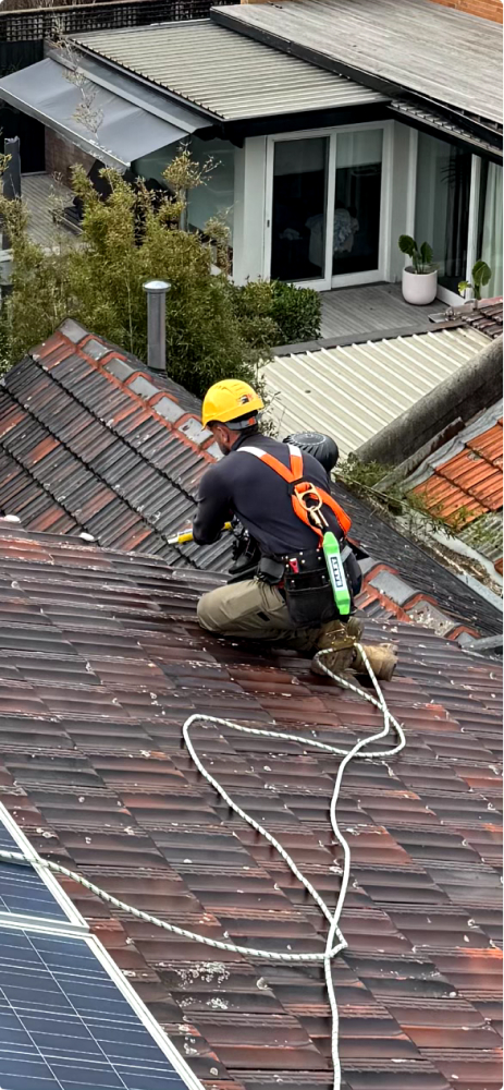 Bird spikes on a property roof to prevent birds nesting