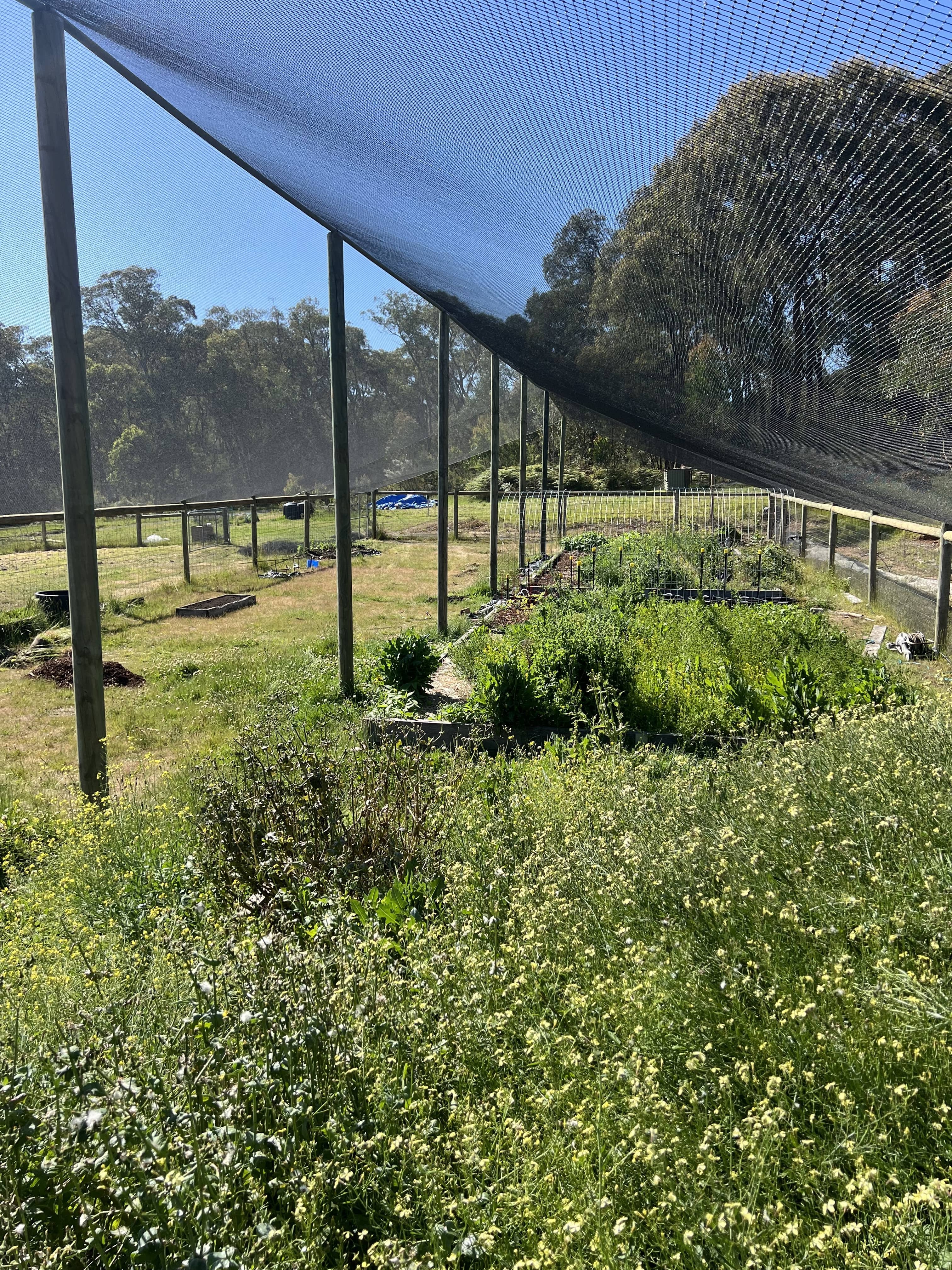 orchard netting melbourne