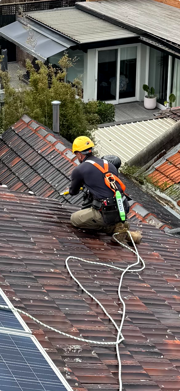 application of bird proofing by melbourne bird solutions team