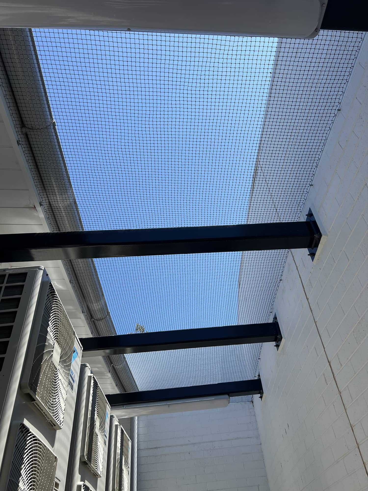 school bird netting installation melbourne