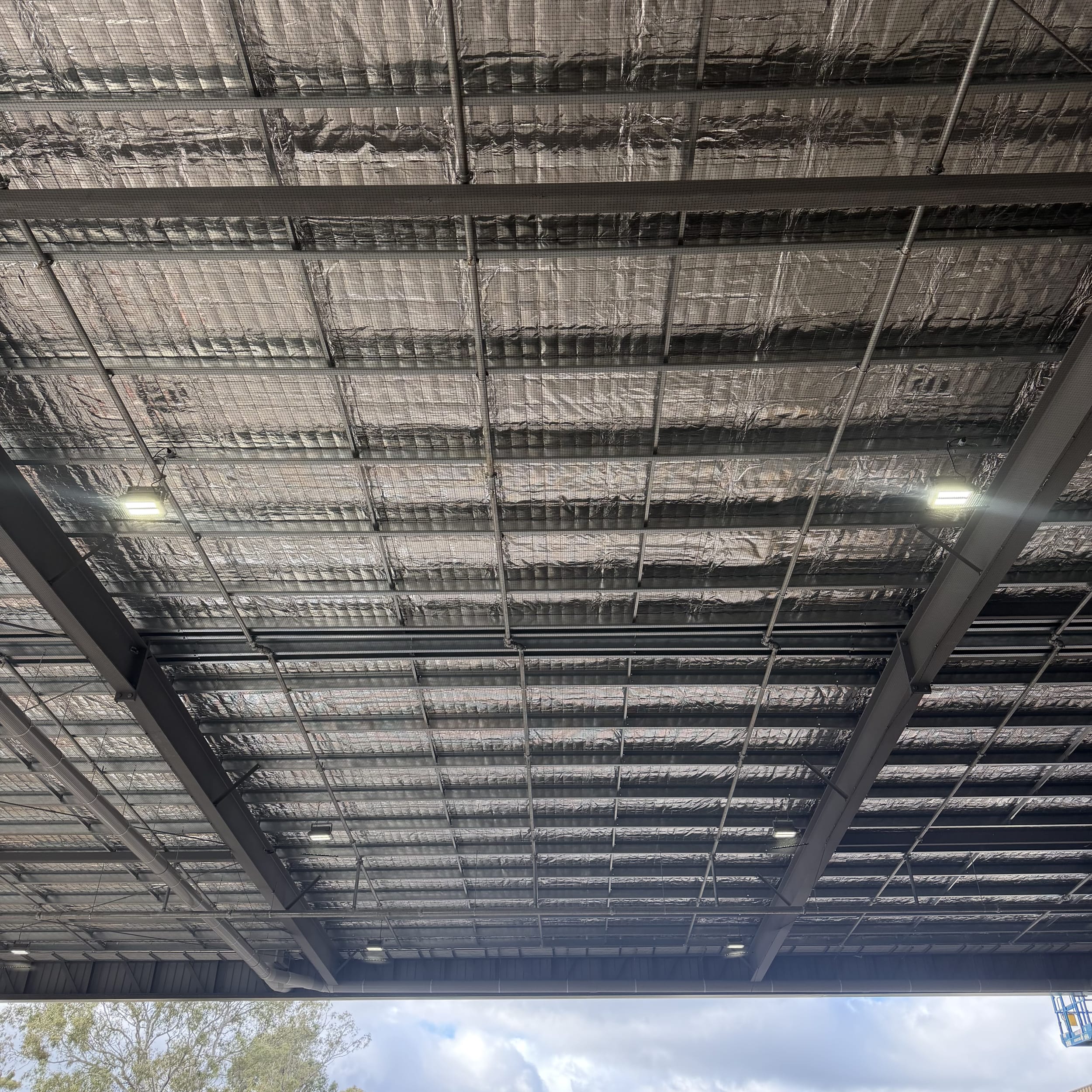 seagull prevention specialists melbourne
