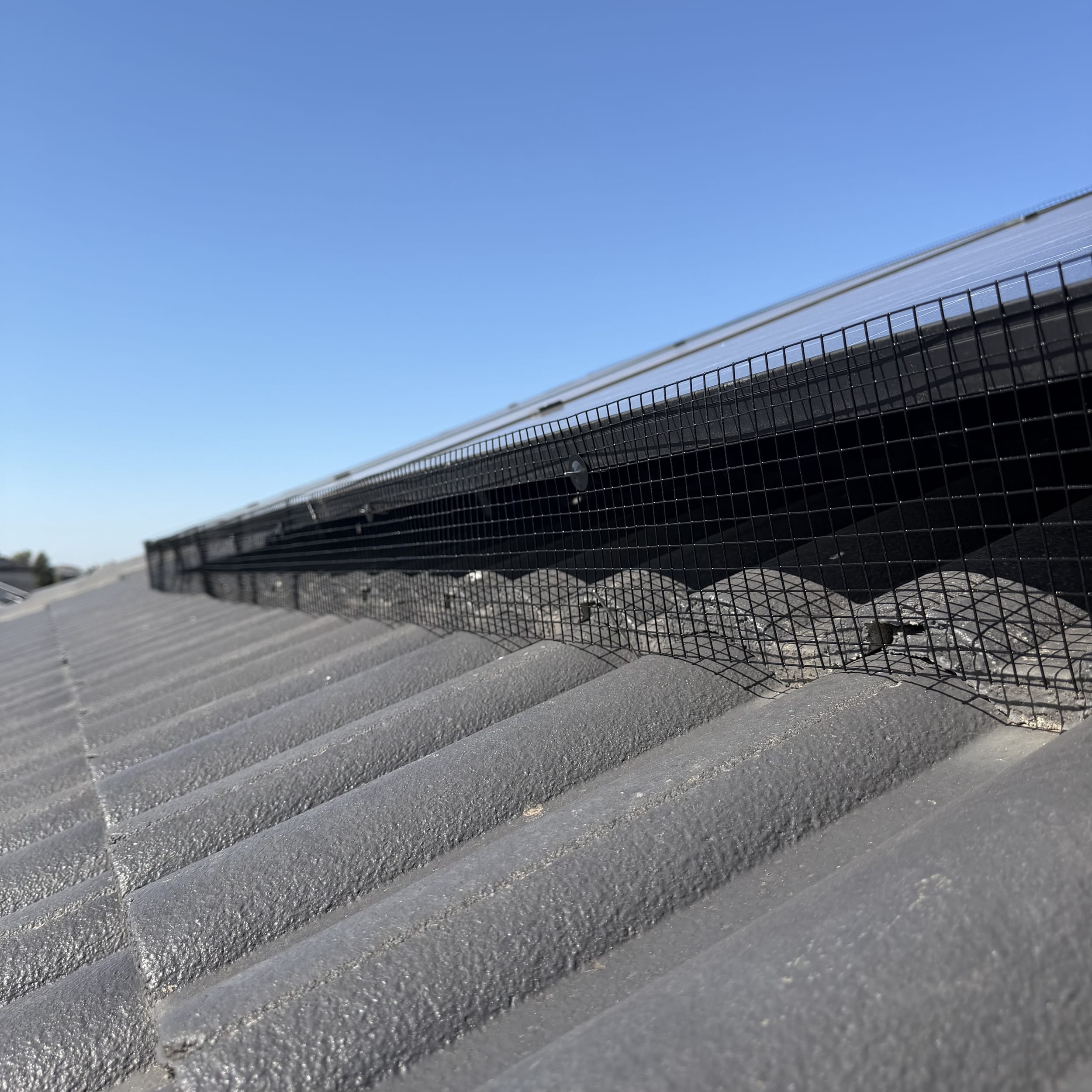 seagull deterrent netting on melbourne roof