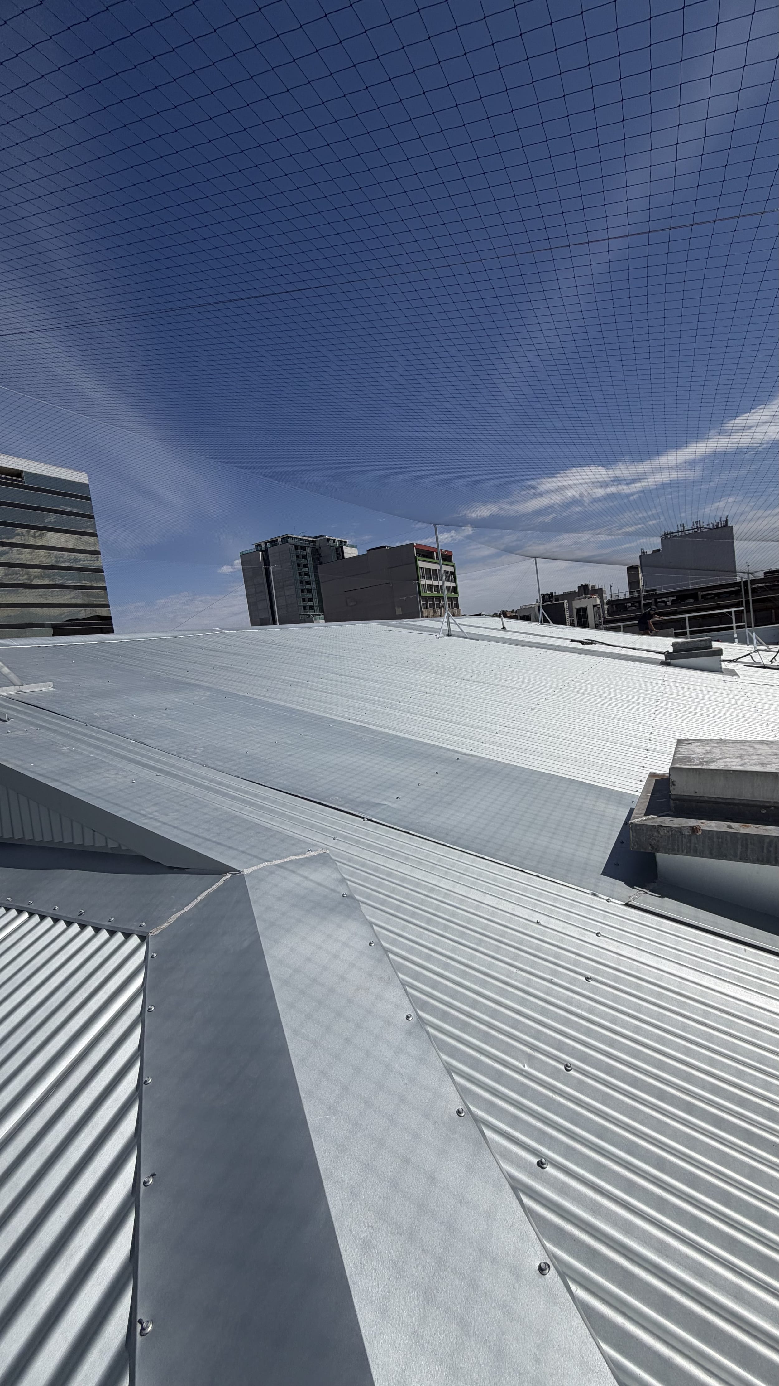 bird spikes installed on roof ledge melbourne
