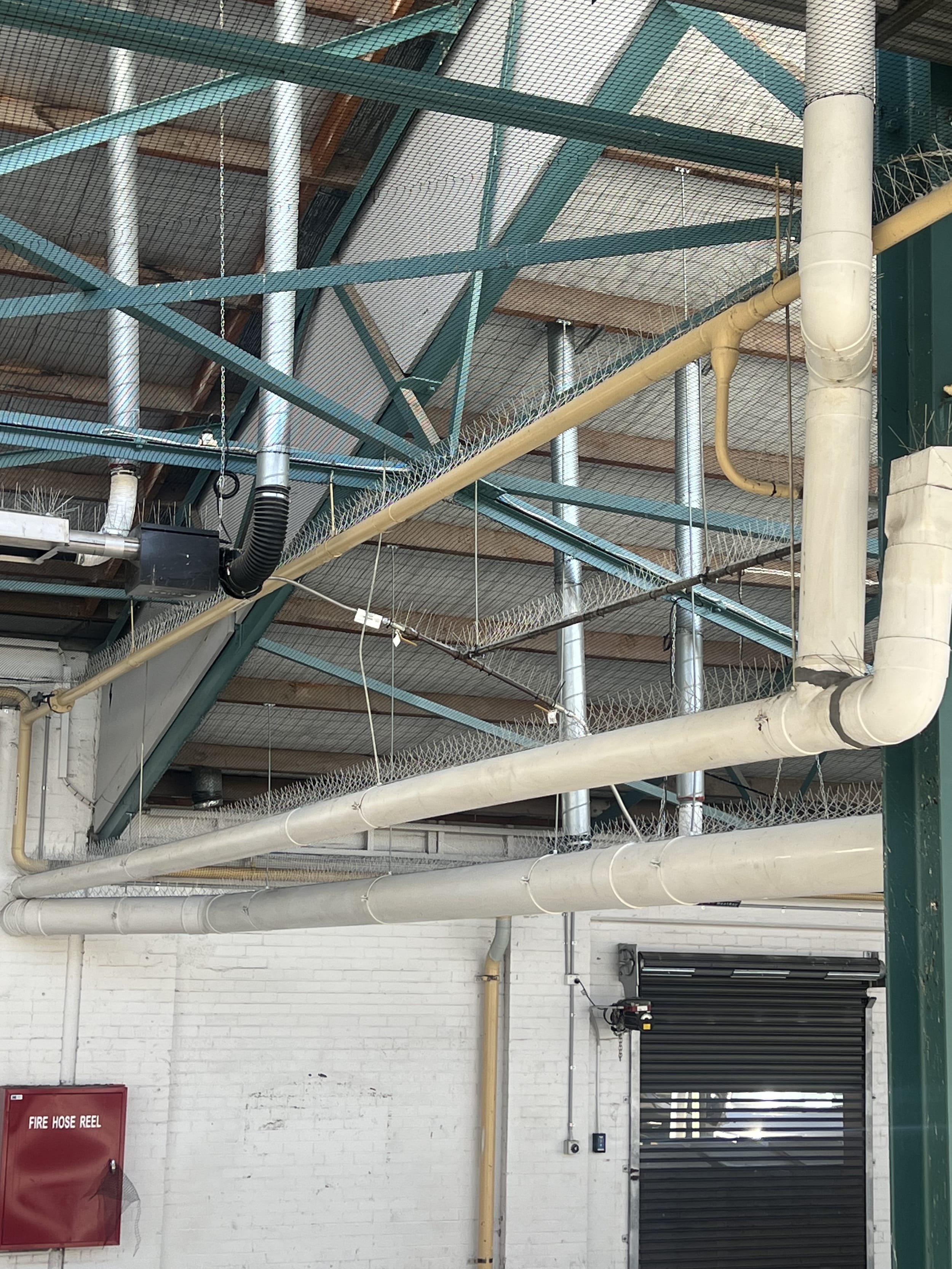 roof bird control system melbourne